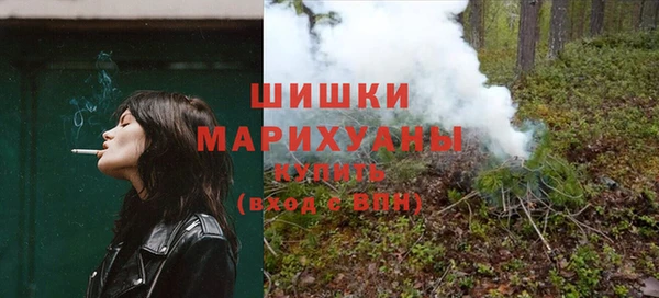 a pvp Пересвет