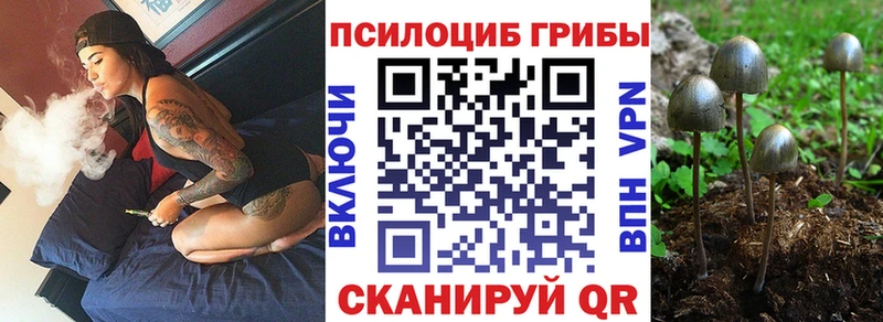 Псилоцибиновые грибы GOLDEN TEACHER  Купить где  Сковородино 